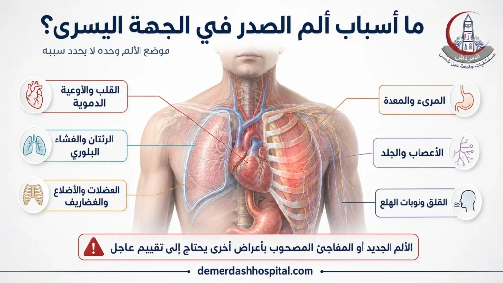 رسم طبي يوضح أسباب ألم الصدر الأيسر من القلب والرئتين والعضلات والمريء والأعصاب
