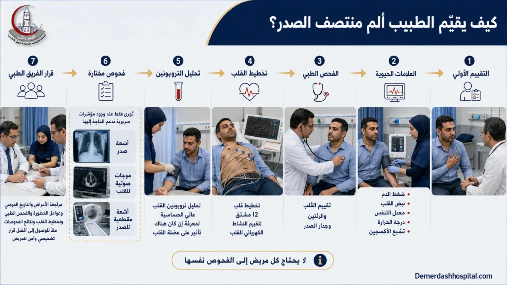 رسم تشريحي يوضح مصادر ألم منتصف الصدر من القلب والرئتين والمريء والعضلات والأعصاب
