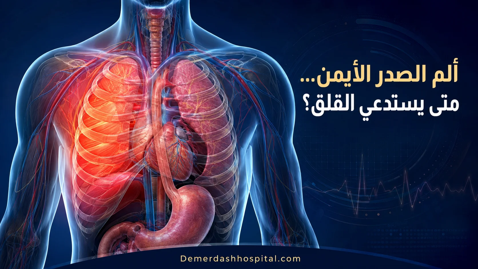 ألم الصدر في الجانب الأيمن مع توضيح أعضاء الصدر والأسباب المحتملة