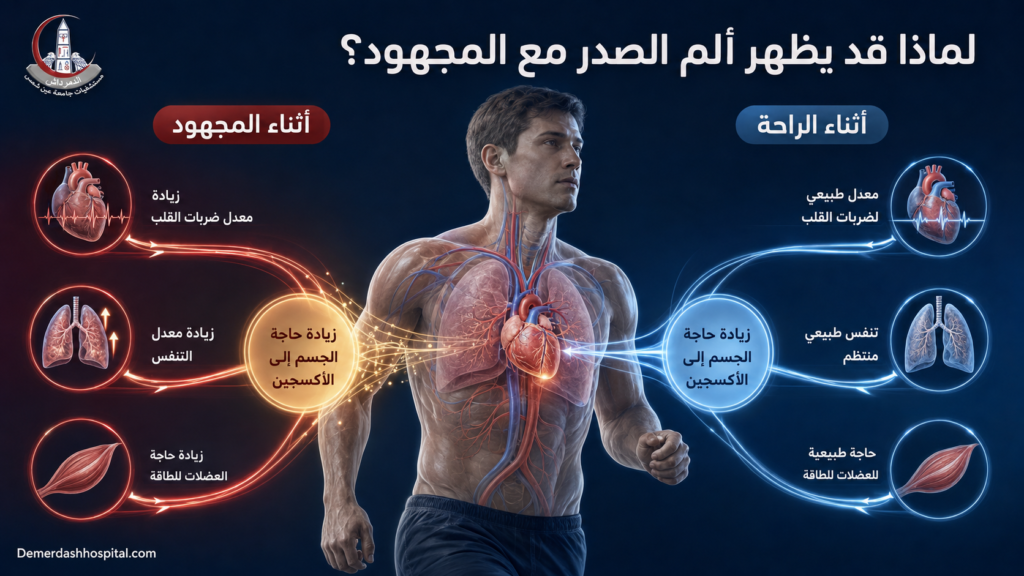 رسم طبي يوضح زيادة عمل القلب والرئتين وحاجة الجسم إلى الأكسجين أثناء المجهود